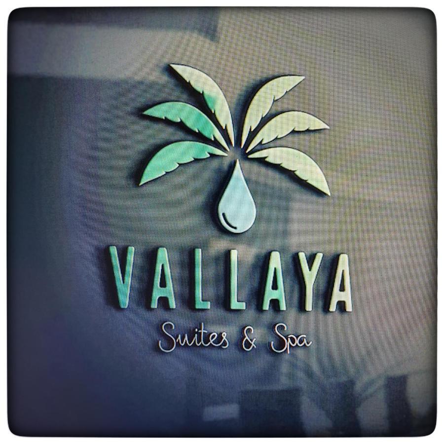 Le Vallaya Suites & Spa مينتون المظهر الخارجي الصورة